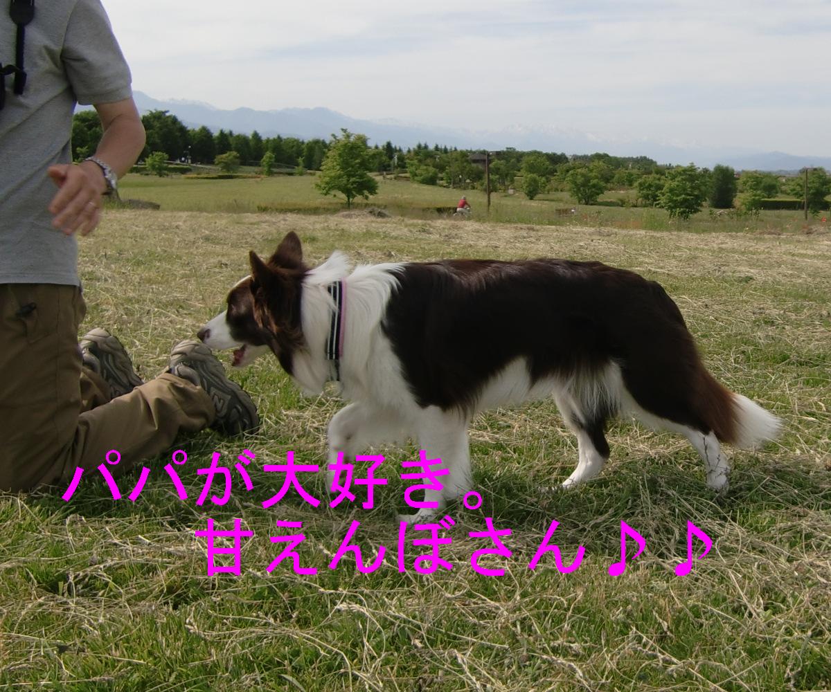 c0140260_23122886.jpg