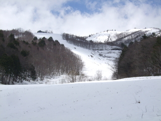 c0192160_31358.jpg