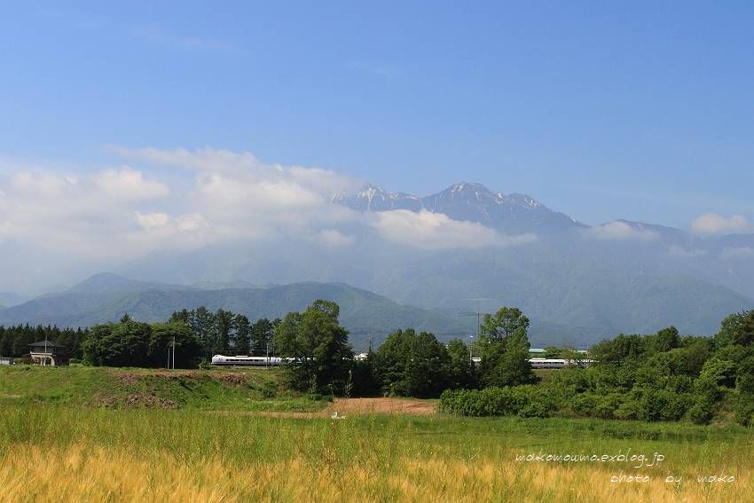 f0103860_128753.jpg