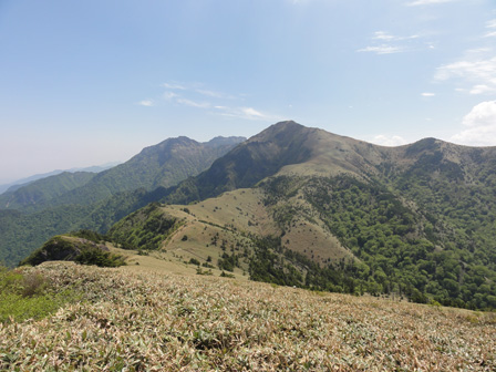 e0197164_9265149.jpg