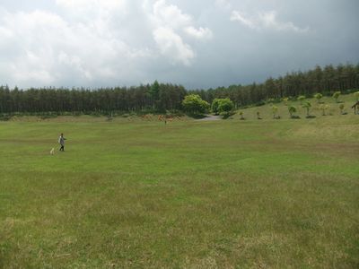 d0076165_2323053.jpg