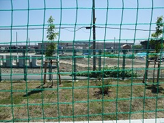f0201565_12341370.jpg