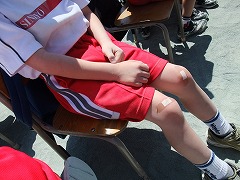 f0201565_1240437.jpg