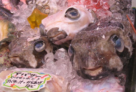 f0088569_858181.jpg