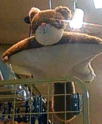 f0140271_1262023.gif