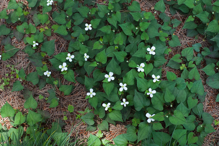 c0210275_22582511.jpg