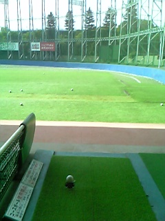 d0167076_7583966.jpg