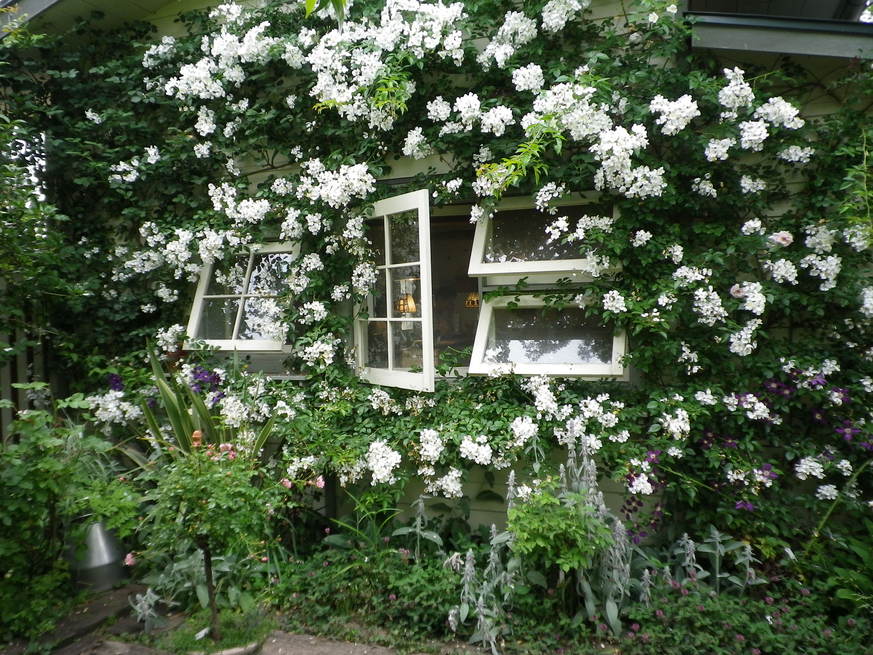 f0178381_22113620.jpg