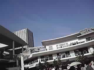 d0142182_2127592.jpg