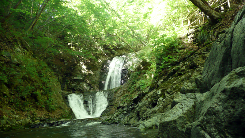 f0131382_001780.jpg