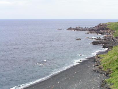 c0204385_1451155.jpg