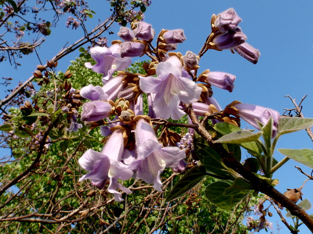 a0007388_8491384.jpg