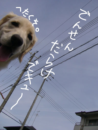 c0085188_2110396.jpg