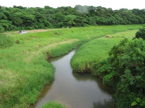 c0064389_19574542.jpg