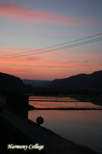 a0116490_20575725.jpg