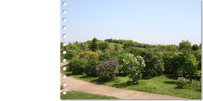 f0146493_19411361.jpg