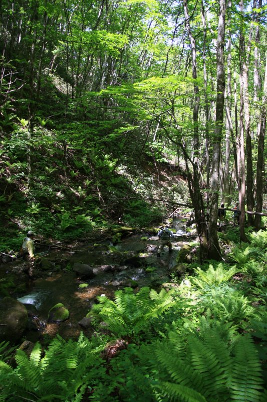 f0129994_1731596.jpg
