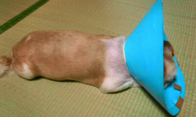f0035996_2255166.jpg