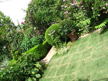 f0178897_20112810.jpg