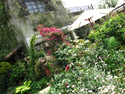 f0178897_20123617.jpg