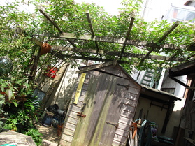 f0178897_2015630.jpg