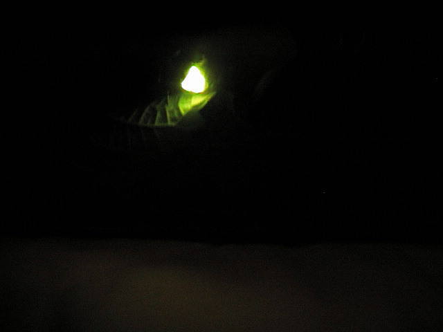 c0220700_12502378.jpg