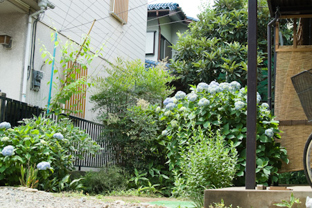 f0239100_1339774.jpg