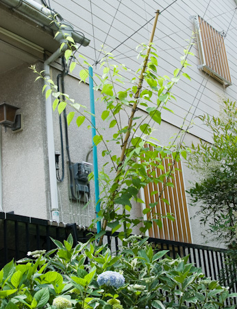 f0239100_13472776.jpg
