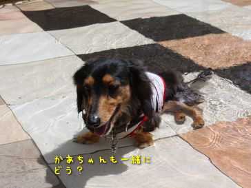 b0044804_14211138.jpg