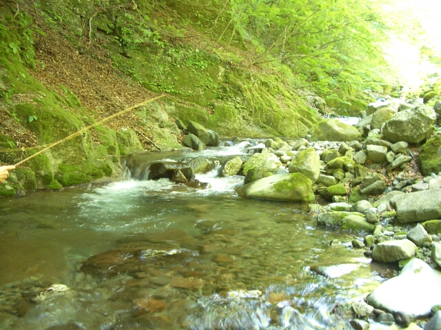 b0172805_4505547.jpg