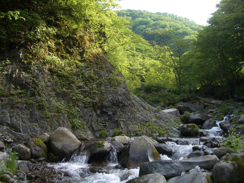 b0172805_5184917.jpg