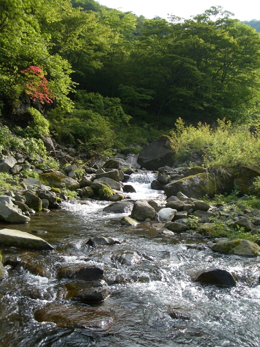 b0172805_5201761.jpg