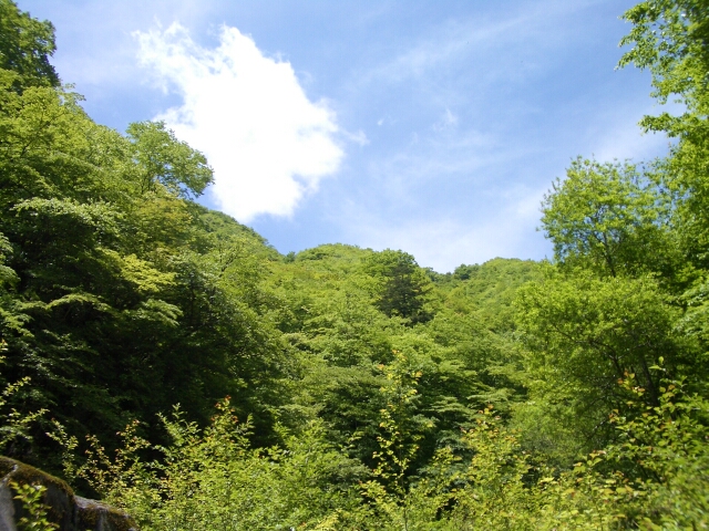 b0172805_55168.jpg