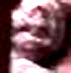 e0103408_13423415.gif