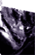 e0103408_1343350.gif