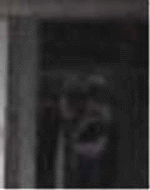 e0103408_1353517.gif