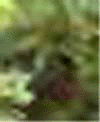 e0103408_13541459.gif