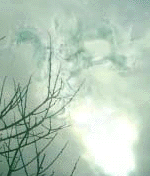 e0103408_13592382.gif