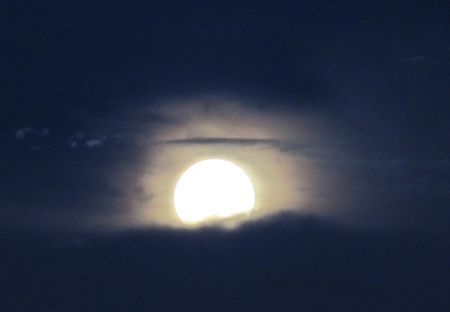 b0051109_330693.jpg