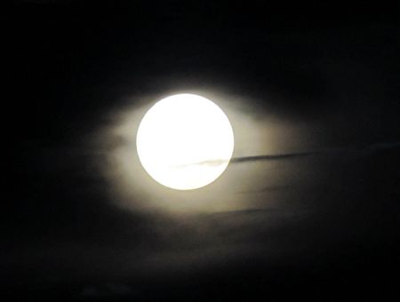 b0051109_3311024.jpg