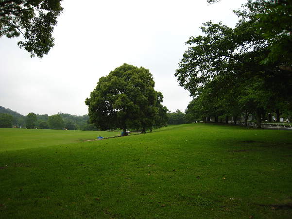 d0154609_12575165.jpg