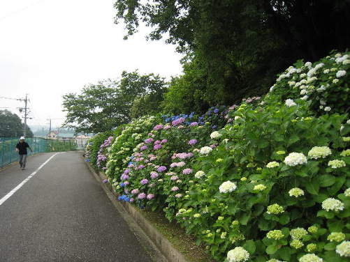 d0154609_13233810.jpg