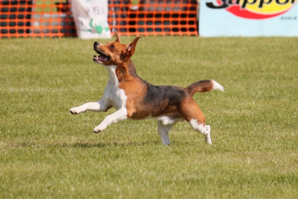a0109914_1485887.jpg