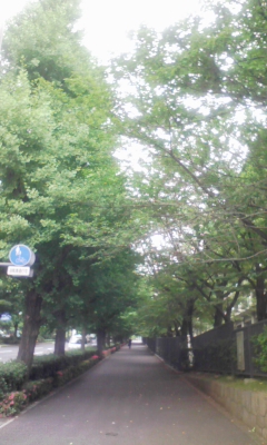 e0009714_821382.jpg