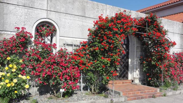 f0233414_21244120.jpg