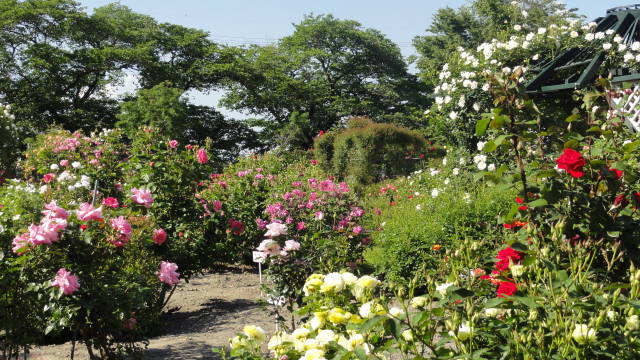 f0233414_21251653.jpg