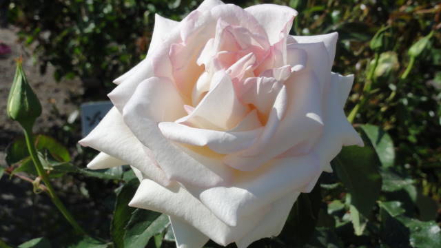 f0233414_2201212.jpg