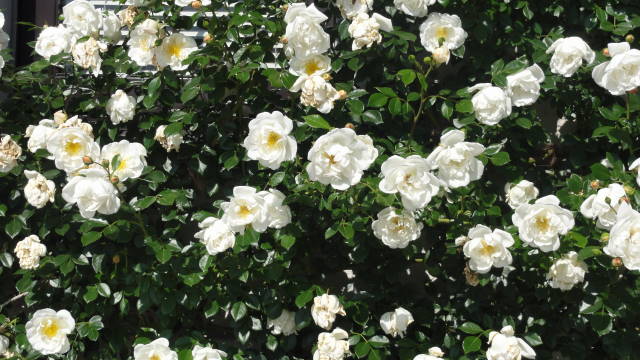 f0233414_2281299.jpg