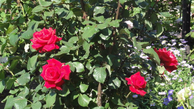 f0233414_2283458.jpg