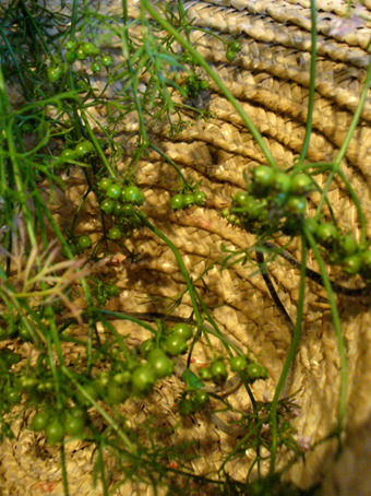 e0015915_181333.jpg